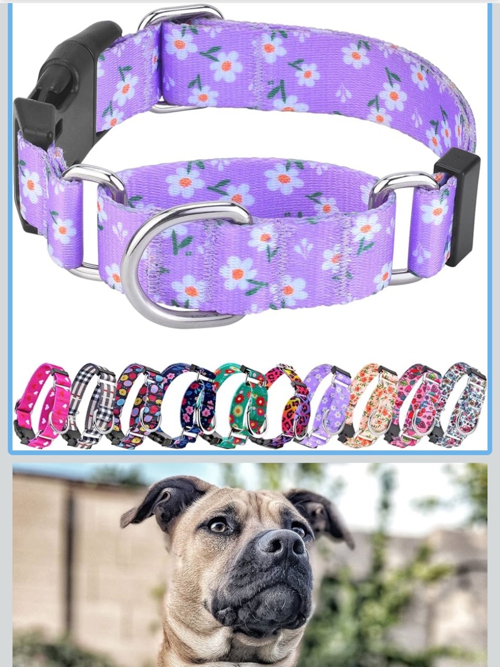 Martingale Dog Collar with Buckle, Adjustable Soft Nylon Size L